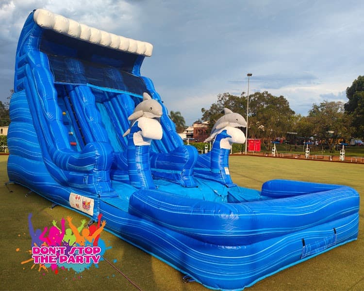 Dolphin Water Slide Dual Lane
